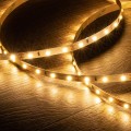 tasma-led-12v-dc-smd2835-60ledm-5m-ip20-szerokosc-8mm-ciecie-co-5cm.jpg