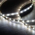 tasma-led-12v-dc-smd2835-60ledm-5m-ip20-szerokosc-8mm-ciecie-co-5cm.jpg