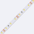 tasma-led-12v-dc-smd2835-60ledm-5m-ip20-szerokosc-8mm-ciecie-co-5cm.jpg