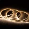 tasma-led-12v-dc-smd2835-120ledm-5m-ip20-szerokosc-8mm-ciecie-co-5cm.jpg