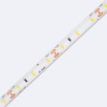 tasma-led-12v-dc-smd2835-60ledm-5m-ip65-szerokosc-8mm-ciecie-co-5cm.jpg
