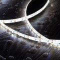 tasma-led-12v-dc-smd2835-120ledm-5m-ip65-szerokosc-8mm-ciecie-co-25cm.jpg