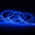 tasma-led-rgbw-12v-dc-smd5050-60ledm-5m-ip20-szerokosc-12mm-ciecie-co-10cm.jpg