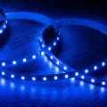 tasma-led-rgbw-12v-dc-smd5050-60ledm-5m-ip20-szerokosc-12mm-ciecie-co-10cm.jpg