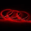 tasma-led-rgbw-12v-dc-smd5050-60ledm-5m-ip20-szerokosc-12mm-ciecie-co-10cm.jpg