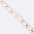 tira-led-24v-wall-washer-30o-48-ledm-5m-17wm-1360lmm-ancho-14mm-corte-2cm-ip44.jpg