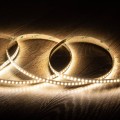 tira-led-24v-smd-160-ledm-5m-15wm-ancho-8mm-freecut-ip20.jpg