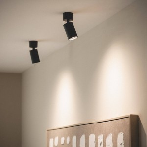 Reflektor Sufitowy z Aluminium Aritz 1-Pkt