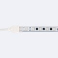 szpula-tasma-led-rgb-220v-ac-smd5050-silicone-flex-50m-60-ledm-ip67-szerokoc-12mm-ciecie-co-100cm.jpg