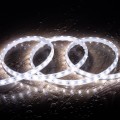 tasma-led-220v-smd2835-60ledm-zimna-biel-ip65-szerokosc-12mm-ciecie-co-100cm.jpg