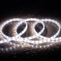 tasma-led-220v-smd2835-60ledm-zimna-biel-ip65-szerokosc-12mm-ciecie-co-100cm.jpg