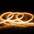 tira-led-220v-smd2835-120ledm-ip65-ancho-12mm-corte-20cm.jpg