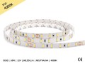 Taśma LED EKO 5630 18W/m neutralna IP20
