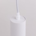 ec79966_2_1.jpg