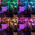 Zestaw 3 Reflektorów RGBW z Bolcem White Color 3x8W PHILIPS Hue Lily