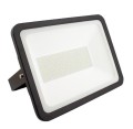 Naświetlacz LED Philips SMD 200 W 135 lm/W HE PRO