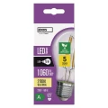 Żarówka LED Filament A60 E27 5 W (75 W) 1 060 lm ciepła biel
