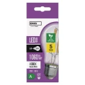 Żarówka LED Filament A60 E27 5 W (75 W) 1 060 lm neutralna biel