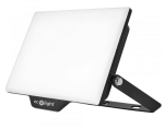 Naświetlacz NL-2 50W 4000K