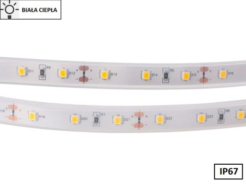 Taśma LED 2835 SMD300 55W-11W/1m 12V IP67 3000K 300lm/1m rolka 5m
