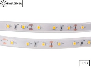 Taśma LED 2835 SMD300 55W-11W/1m 12V IP67 6500K 300lm/1m rolka 5m