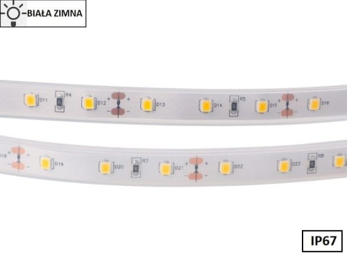 Taśma LED 2835 SMD300 55W-11W/1m 12V IP67 6500K 300lm/1m rolka 5m