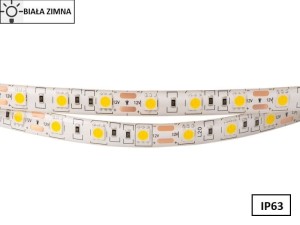 Taśma LED 5050 SMD300 72W-14,4W/1m 12V IP63 6500K 800lm/1m rolka 5m