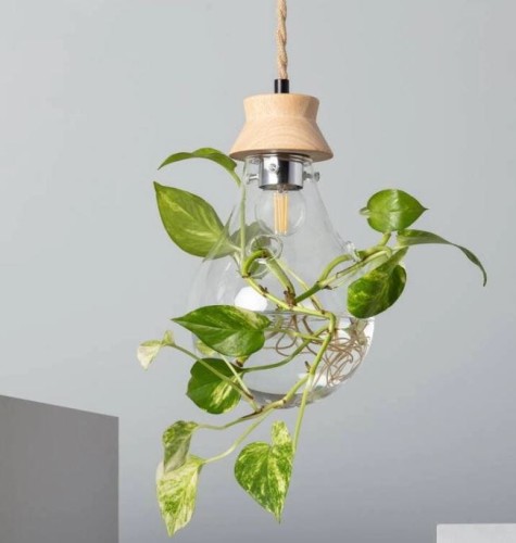 Lampa Wisząca z Drewna i Szkła Kathu Bumbieris E27