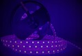 ZESTAW LED DO SAUNY - TAŚMA LED RGB 14,4W 5M + STEROWNIK + ZASILACZ 24V