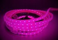 ZESTAW LED DO SAUNY - TAŚMA LED RGB 14,4W 5M + STEROWNIK + ZASILACZ 24V