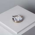 plafon-led-6w-okragly-metalowy-o120-mm-design-silver.jpg