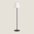 lampa-zewnetrzna-podlogowa-led-solarna-larso.jpg