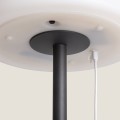 lampa-zewnetrzna-podlogowa-led-solarna-larso.jpg