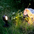lampa-ogrodowa-led-z-bolcem-argo-3w.jpg